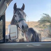 @0h88dh profile picture