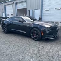 @704tint profile picture