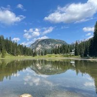 @_landscapeit profile picture