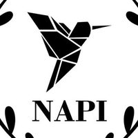 @_n_a_p_i_ profile picture