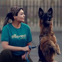@abc_dog_trainer profile picture