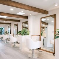 @adrina.martins.salon