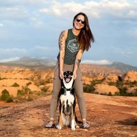 @adventurepact profile picture