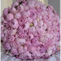@aestheticstyleblog profile picture