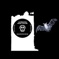 @alternative_music_culture profile picture