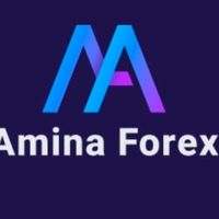 @amina_forex profile picture