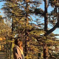 @anchal_negi719 profile picture