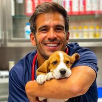 @andresantosvet