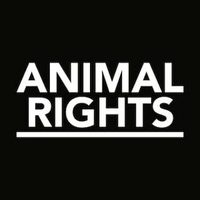 @animalrights.nl profile picture