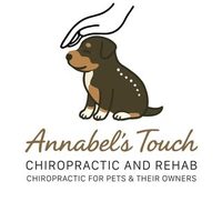 @annabels_touch_chiropractic