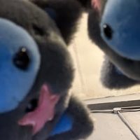 @audrey profile picture