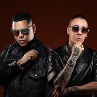 @babyrastaygringo profile picture