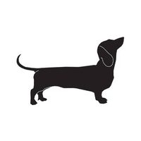 @bassoprofilo_org profile picture