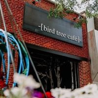 @bird_tree_cafe