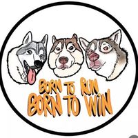 @borntorun_borntowin profile picture