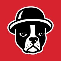 @bostoncalling profile picture