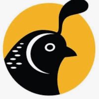 @calparks profile picture