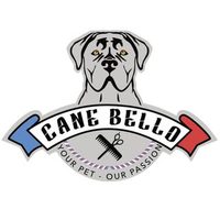 @cane_bello_gr profile picture