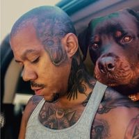 @capo.dei.cani profile picture
