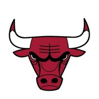 @chicagobulls profile picture