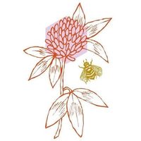@clover_stl