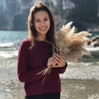 @codirusss profile picture