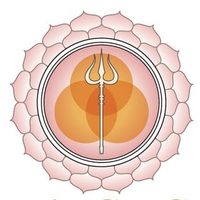 @dancingwarrioryoga