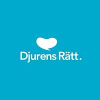 @djurensratt profile picture