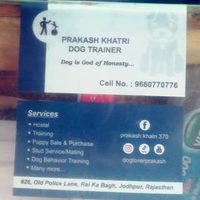 @dogloverprakash profile picture