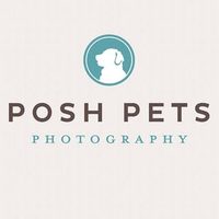@dogphotographer profile picture