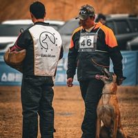 @dogtrainer_jk profile picture
