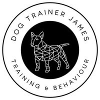 @dogtrainerjames profile picture