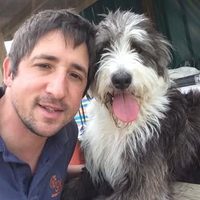@dogtrainerlee profile picture