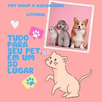 @dogwalkerlitoral_ profile picture