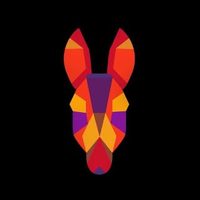 @donkeys_sv profile picture