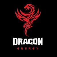@dragonenergyint profile picture
