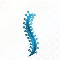 @drspine.wellbeing