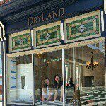 @drylandsalon
