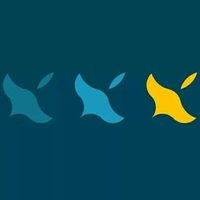 @ducksinarow_uk profile picture