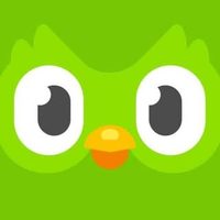@duolingodeutschland profile picture