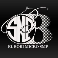 @elborismp profile picture