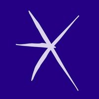@escpbs profile picture