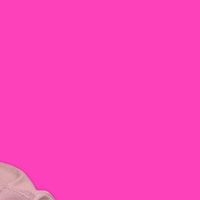 @fashionispink profile picture