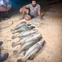 @fishing_._.life profile picture