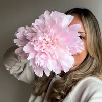 @florista.bath profile picture
