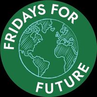 @fridaysforfuture.de profile picture