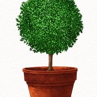 @gardenanswerstore profile picture
