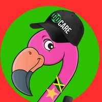 @gocaredetailing profile picture