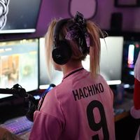 @hachikottv