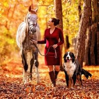 @hautedogpetphotography profile picture